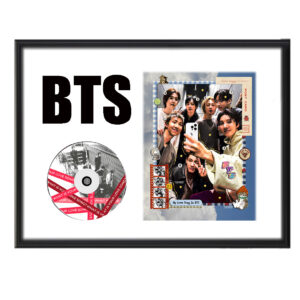 Cuadro BTS - HZ1